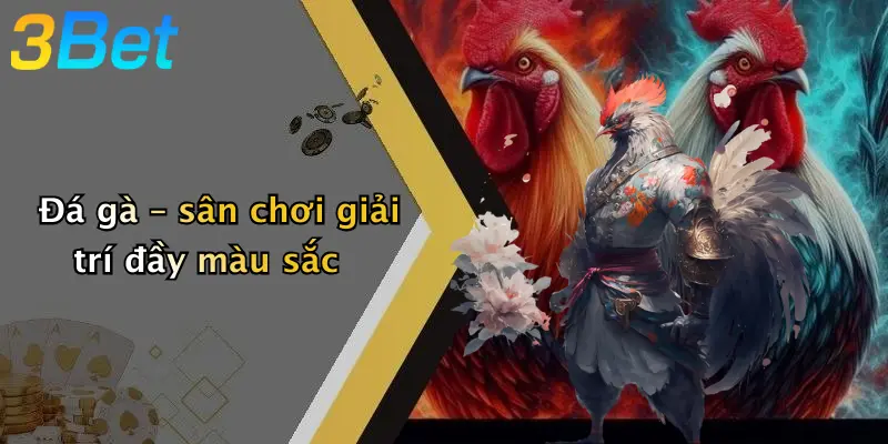 Đá gà – sân chơi giải trí đầy màu sắc